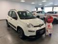usato FIAT Panda