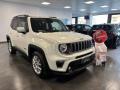 usato JEEP Renegade