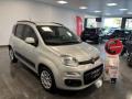 usato FIAT Panda