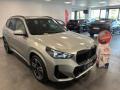 usato BMW X1