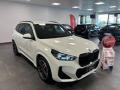 usato BMW X1