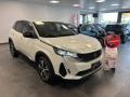 usato PEUGEOT 3008
