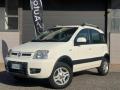 usato FIAT Panda
