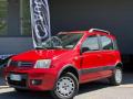 usato FIAT Panda