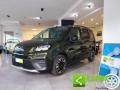 usato FIAT Doblo