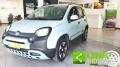usato FIAT Panda Cross