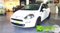 usato FIAT Punto Evo