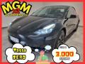 usato TESLA Model 3