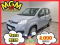 usato FIAT Panda
