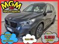 usato BMW X1