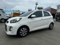 usato KIA Picanto