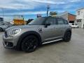 usato MINI Countryman