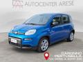 usato FIAT Panda