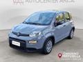 usato FIAT Panda