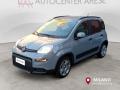 usato FIAT Panda