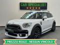 usato MINI Countryman