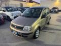 usato FIAT Panda