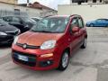 usato FIAT Panda