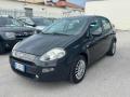 usato FIAT Punto