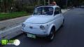 usato FIAT 500