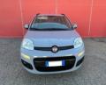 usato FIAT Panda