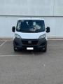 usato FIAT Ducato
