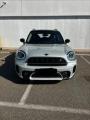 usato MINI Countryman