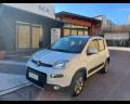 usato FIAT Panda