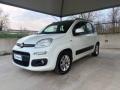 usato FIAT Panda