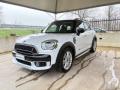 usato MINI Countryman