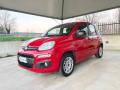usato FIAT Panda
