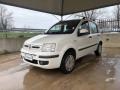 usato FIAT Panda
