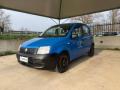 usato FIAT Panda
