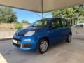 usato FIAT Pandina