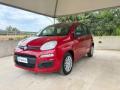 usato FIAT Panda