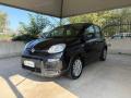 usato FIAT Panda