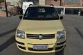 usato FIAT Panda