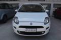 usato FIAT Punto