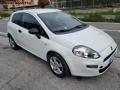usato FIAT Punto Evo