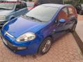 usato FIAT Punto Evo