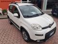 usato FIAT Panda