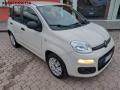 usato FIAT Panda