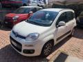 usato FIAT Panda