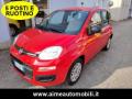 usato FIAT Panda