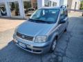 usato FIAT Panda