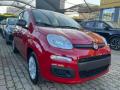 Km 0 FIAT Panda
