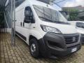 usato FIAT Ducato