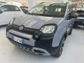 usato FIAT Panda Cross