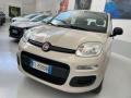 usato FIAT Panda