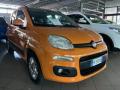 usato FIAT Panda